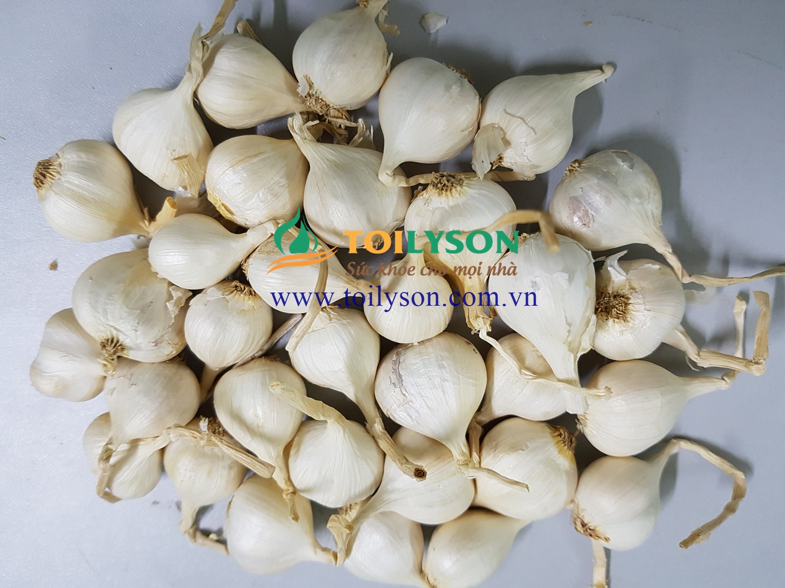 Tổng hợp 60 tác dụng của tỏi tươi, tỏi đen và tỏi cô đơn Lý Sơn
