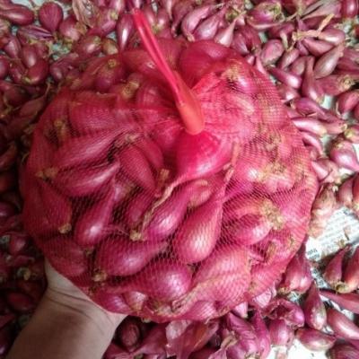 Hành tím Lý Sơn