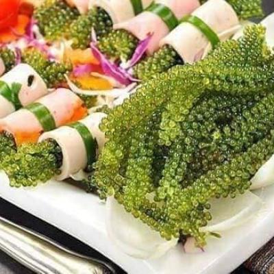 Rong nho biển Lý Sơn tự nhiên