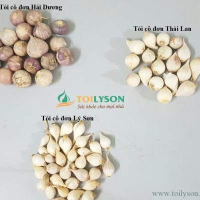 Các loại tỏi cô đơn ở Việt Nam và các loại tỏi trên thế giới hiện nay
