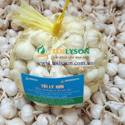 Tỏi Lý Sơn nhiều nhánh (Ly Son Garlic)